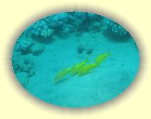 IMG_2007_05_25 14_29_57 * 2272 x 1704 * (547KB)